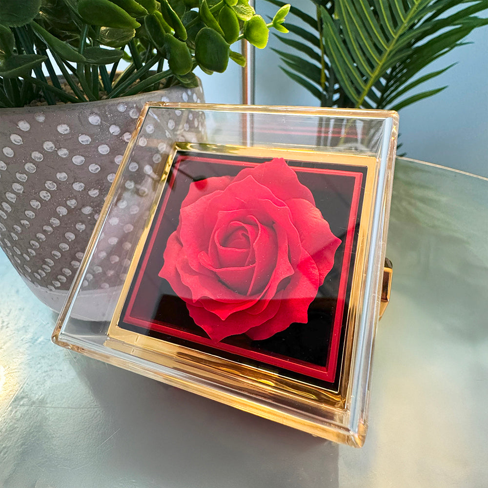 Coffret Nœud d'Amour personnalisé – Collier & Rose Éternelle